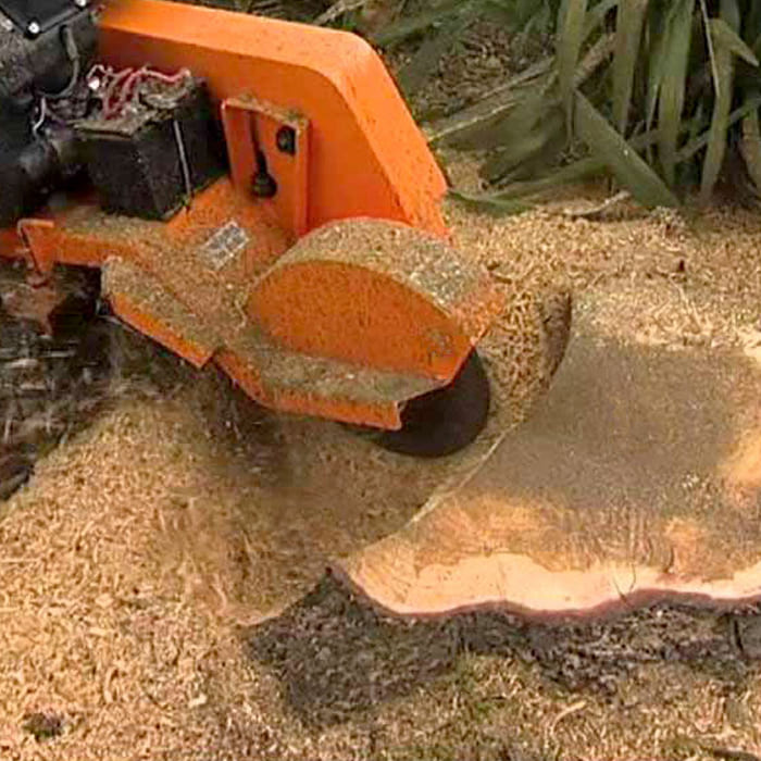 Photo of a tree grinding machine surrounded by grinding waste