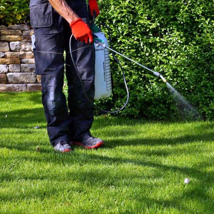 Photo of a man spraying weed control over verdant green grass.